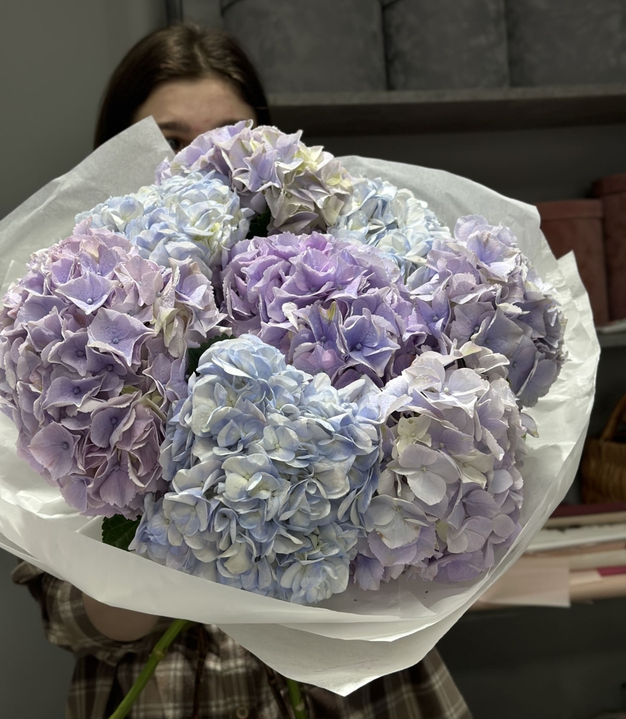 buket-gortenziy-simfoniya:-melodiya-chuvstv